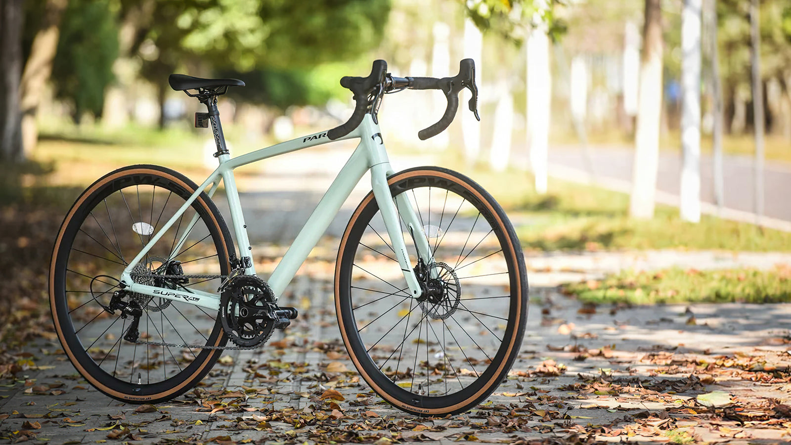 PARDUS Super AL: The Perfect Beginner's Road Bike