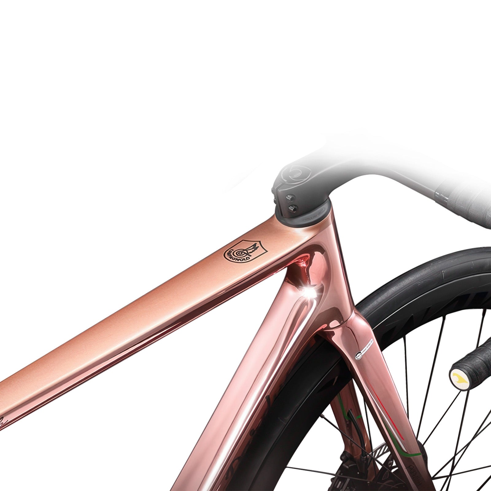 PARDUS ROBIN RS-CHORUS Campagnolo joint glory pink Road Bike